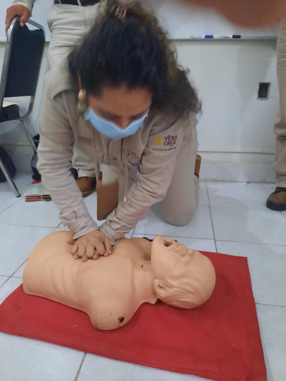 Galería Pro-Live 19